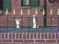 Billyb6 p.jpg (2577 octets)
